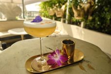 Salvaje Miami: Exotic, eclectic dining in the heart of mid-town